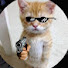 4j-2Fv3y7gA-channel-avatar-Meow 