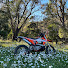 AwoW0SljFGI-channel-avatar-Reid Between the Trees