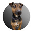 rLFN8acke7w-channel-avatar-NeilJDale