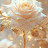 @majdshaker-m8d