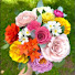 8nqWl0cVJTg-channel-avatar-RS Bloom