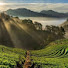 hKLxY69DBEk-channel-avatar-Vida Campesina Rafa TV👁️