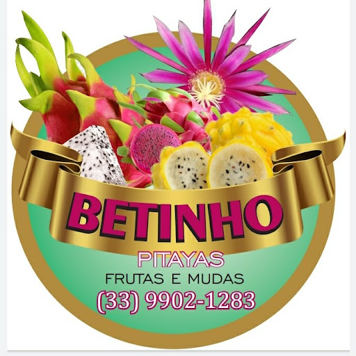 Betinho pitayas
