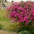 @husseinmohamed5629