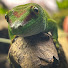 EdghU_eY24s-channel-avatar-Adi's Projects