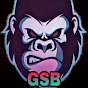 GSB RIDERS_YT logo