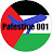 @palestine0018