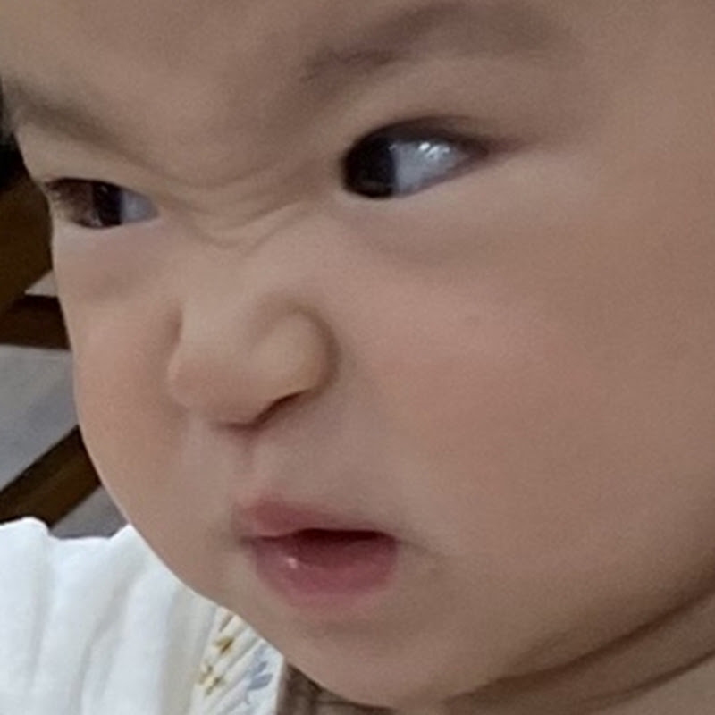 두두짱