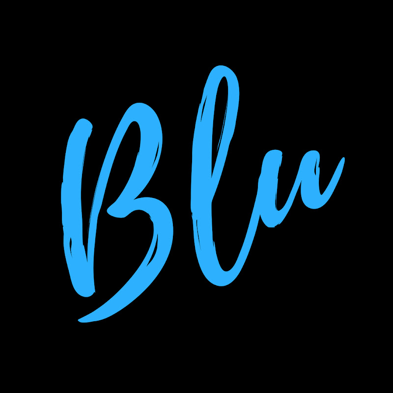 BLU SKYY TRAVEL