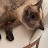 @Zeynebb-w4y