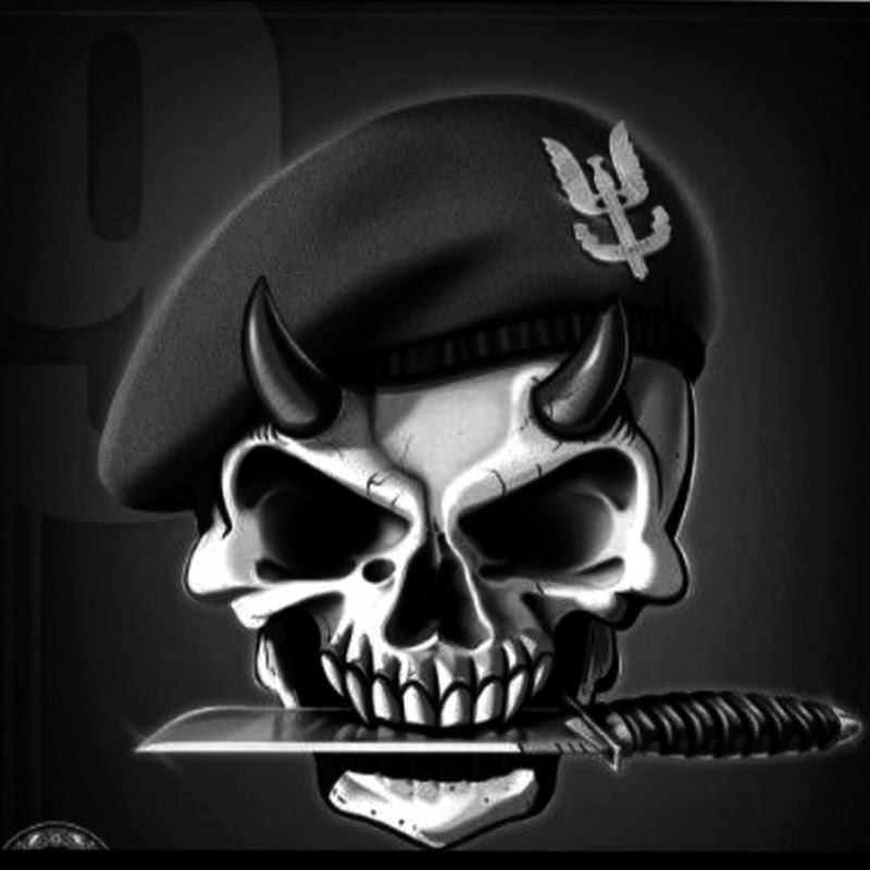 Defence REgiMEnt avatar