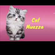 Cat named muezza