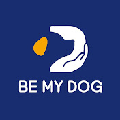 BE MY DOG(비영리단체 비마이독)
