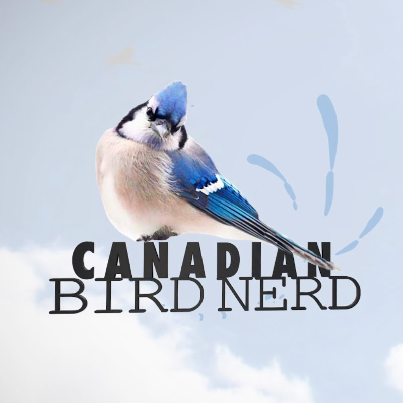 Canadian Bird Nerd logo