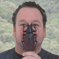 Gino Nearns