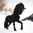 yEWpmWLL3Ew-channel-avatar-Phoenix Stables