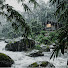 I1cNUDKnfqA-channel-avatar-Rivers and Rain in the Forest