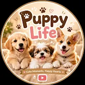 Puppy Life