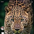 xiGEQ5CVsuk-channel-avatar-سراب العمر 