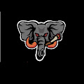 ELEPHANT SHITS