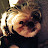 @Valay.'s avatar