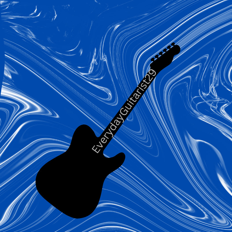 EverydayGuitarist29