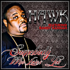H.A.W.K.