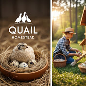 QUAIL HOMESTEAD
