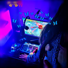 MEOWYT LIVE