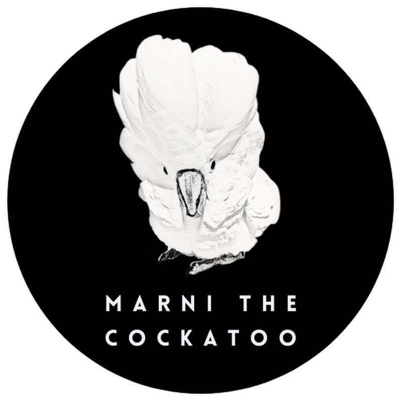 Marni the Cockatoo