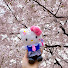 cN63_0TcH-M-channel-avatar-영쿠