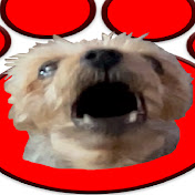 I Wuv My Yorkie Productions