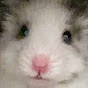 Miniature