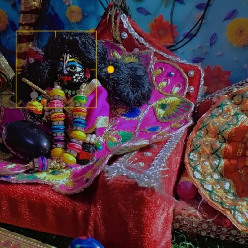 Laddu madhav vlog😊☺️