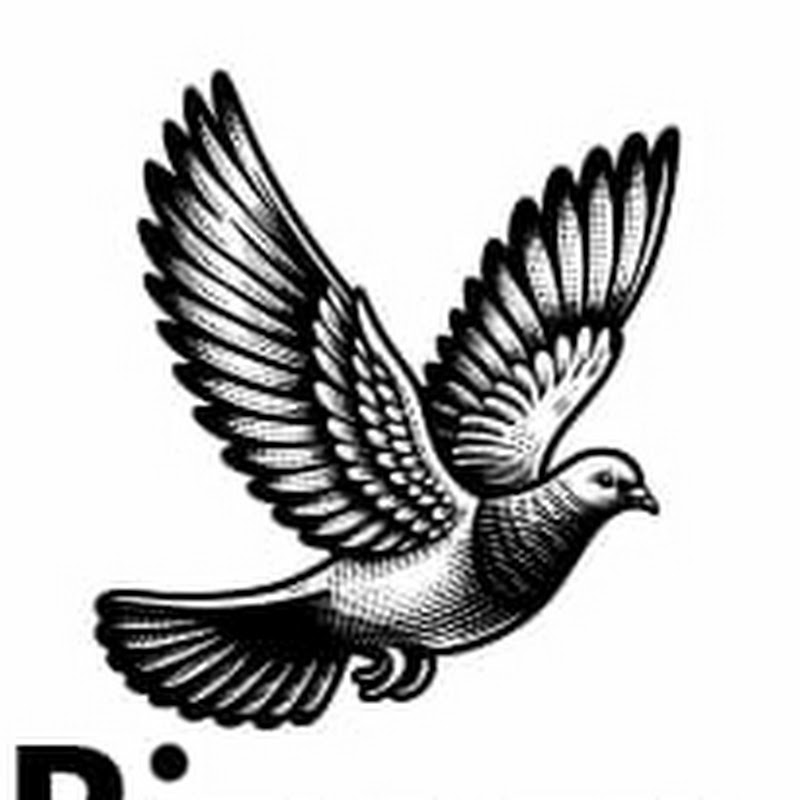 Pigeon care tricks