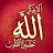@anaskashwaa5433