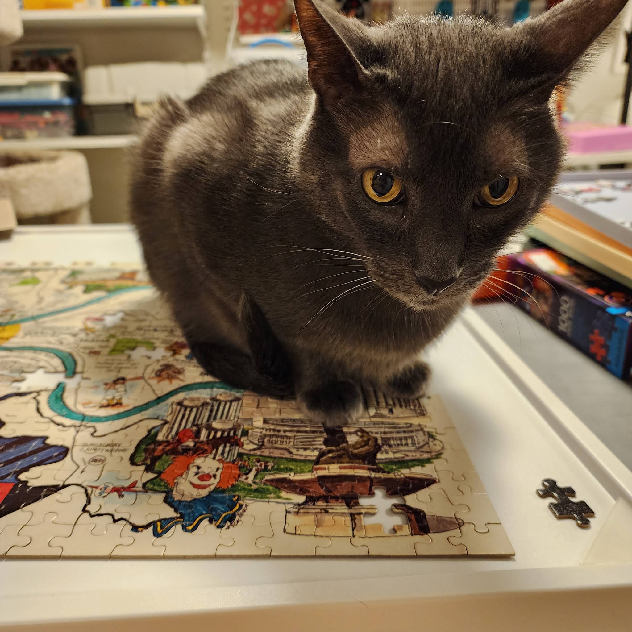 Post from The Frugal Puzzler