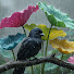 ERuoHxGomrs-channel-avatar-Forest Birds Melodies