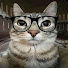 hmdMEVqqXnY-channel-avatar-Akai Gaming