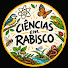 WbiRHmlX4Os-channel-avatar-Ciências em Rabisco