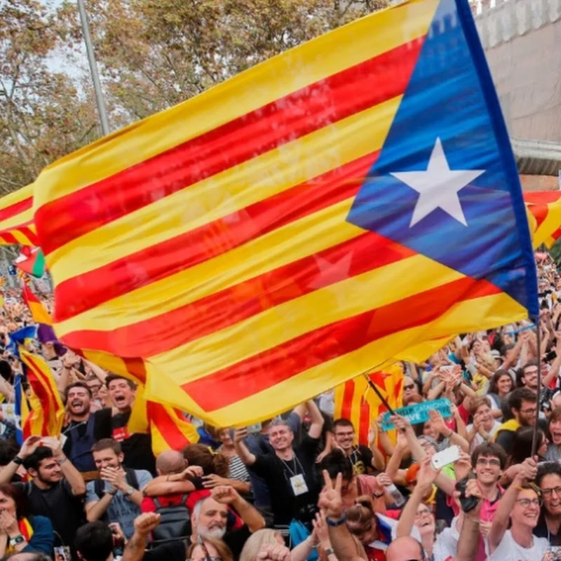 Catalunya 2026 avatar