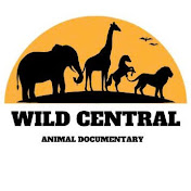 Wild Central - Animal Documentary