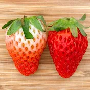 旬レシピのおいしい時間