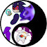 Cs1IrrNNk88-channel-avatar-Xenorist