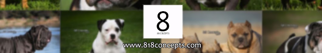 818concepts YouTube channel avatar