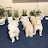 @행복하개-j8f