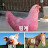 @roosterandpighorse