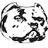 4ev6U7WNC_4-channel-avatar-Caona Bully Kennels