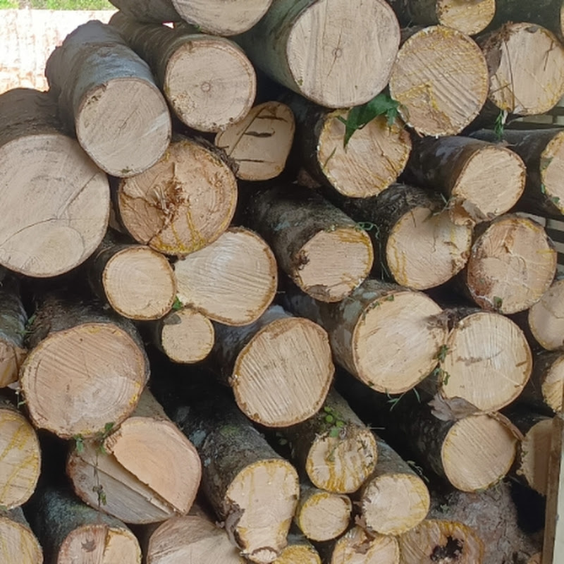 PLYWOOD INDUSTRIE 
