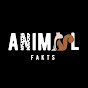 Animal Fakts Image Thumbnail